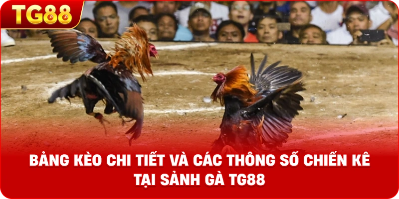 Bảng kèo chi tiết và các thông số chiến kê tại sảnh gà TG88