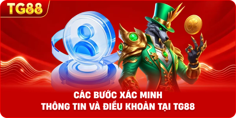 Các bước xác minh thông tin và điều khoản tại TG88
